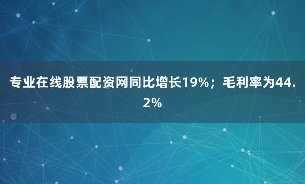 专业在线股票配资网同比增长19%；毛利率为44.2%