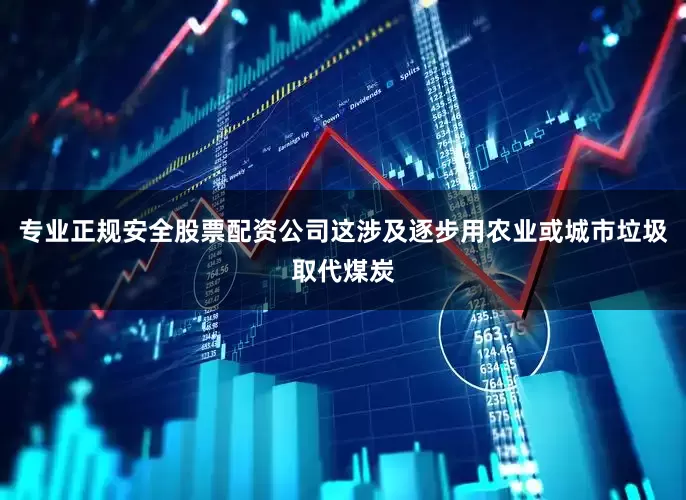 专业正规安全股票配资公司这涉及逐步用农业或城市垃圾取代煤炭