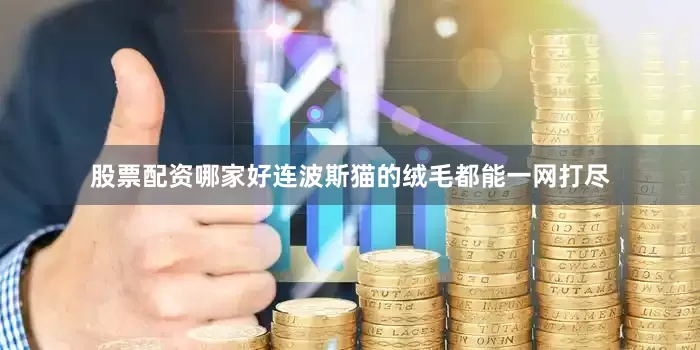 股票配资哪家好连波斯猫的绒毛都能一网打尽