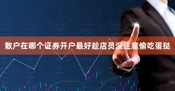 散户在哪个证券开户最好趁店员没注意偷吃蛋挞
