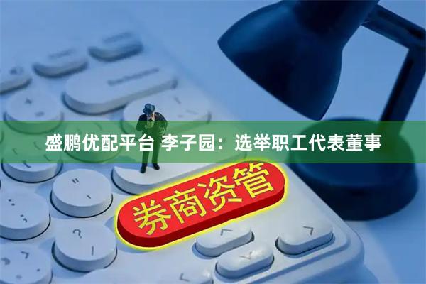 盛鹏优配平台 李子园：选举职工代表董事