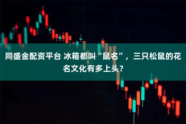 同盛金配资平台 冰箱都叫“鼠名”，三只松鼠的花名文化有多上头？