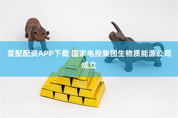 爱配配资APP下载 国家电投集团生物质能源公司成立